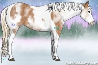 Horse Color:White Spotted Chestnut Splash Tobiano