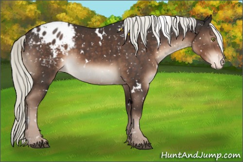 Horse Color:White Spotted Liver Chestnut Mushroom Sabino Blanket 