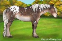 Horse Color:White Spotted Liver Chestnut Mushroom Sabino Blanket 