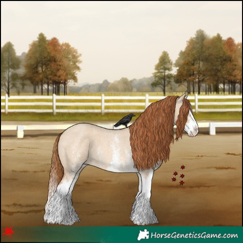 Horse Color:White Spotted Red Dun Roan Splash 