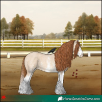 Horse Color:White Spotted Red Dun Roan Splash 