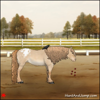 Horse Color:Red Dun Roan Varnish 