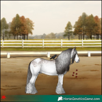Horse Color:Gray White Spotted Bay Roan Varnish 