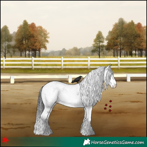 Horse Color:White Spotted Black