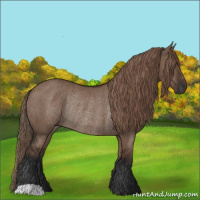 Horse Color:Liver Red Dun Rabicano