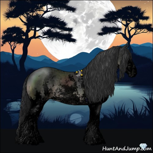Horse Color:Void Platinum Black Sabino Splash 