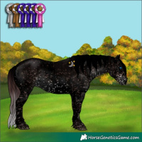 Horse Color:Void Platinum Chocolate Brown Sabino Splash