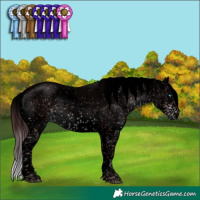 Horse Color:Void Platinum Chocolate Brown Sabino Splash 