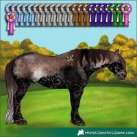 Horse Color:Void Platinum Chocolate Brown Sabino Splash Tobiano 