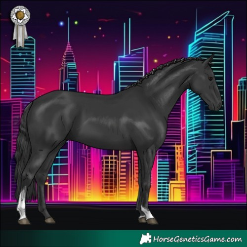 Horse Color:Black Tobiano 