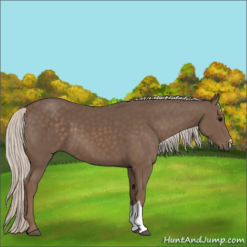 Horse Color:Silver Black 