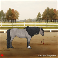Horse Color:Grullo Roan 
