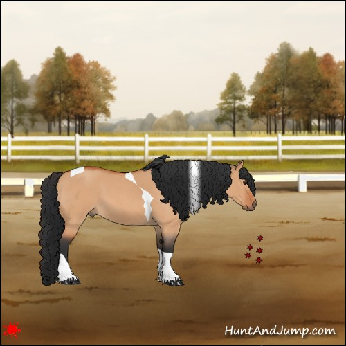 Horse Color:Bay Roan Dun Tobiano 