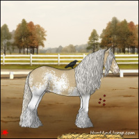 Horse Color:White Spotted Silver Smoky Grullo 