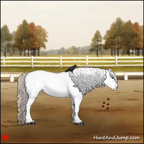 Horse Color:White Spotted Silver Black Appaloosa