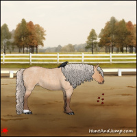 Horse Color:Silver Bay Roan Dun 