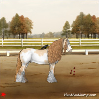 Horse Color:White Spotted Red Dun Frame 