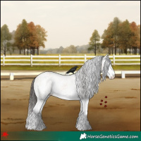 Horse Color:White Spotted Bay Dun