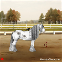 Horse Color:White Spotted Grullo Splash 