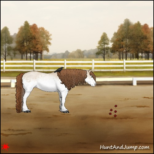 Horse Color:White Spotted Red Dun Roan 