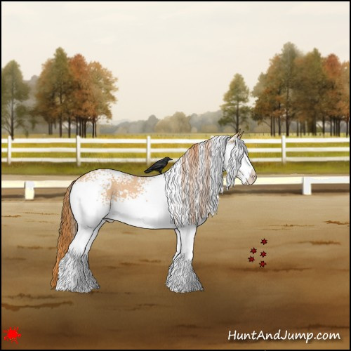 Horse Color:White Spotted Red Dun Roan 