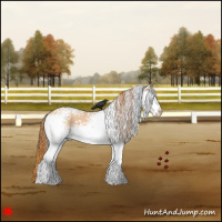 Horse Color:White Spotted Red Dun Roan