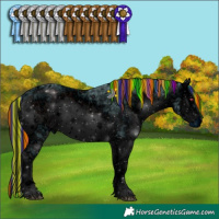 Horse Color:ERROR: UNKNOWN ANOMALY