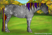 Horse Color:ERROR: UNKNOWN ANOMALY