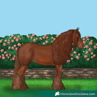 Horse Color:Chestnut Rabicano 
