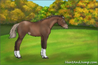 Horse Color:Gray Silver Black Pearl Tobiano 