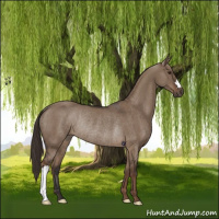 Horse Color:Liver Red Dun Rabicano 