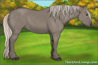 Horse Color:Silver Grullo 