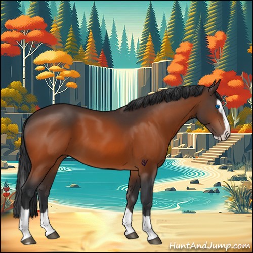 Horse Color:Bay Splash 