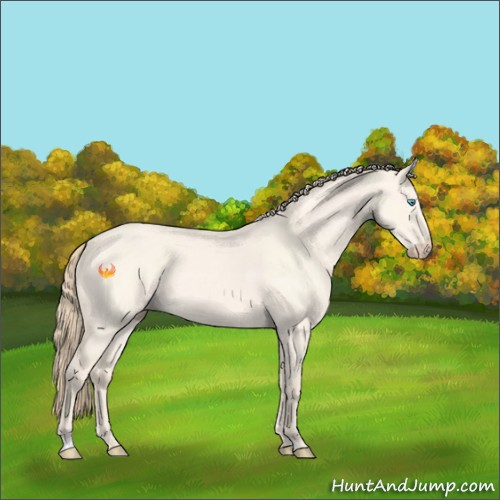 Horse Color:Perlino Roan Dun