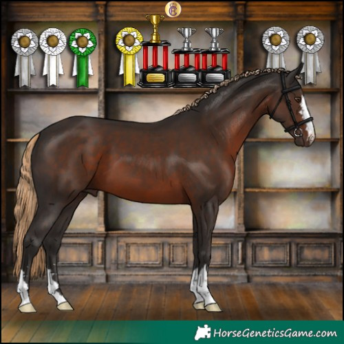 Horse Color:Liver Chestnut 