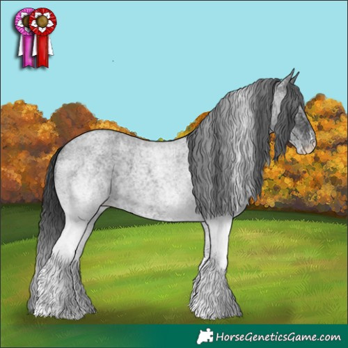 Horse Color:White Spotted Blue Roan