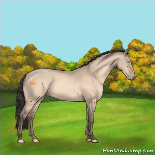 Horse Color:Amber Champagne Dun 