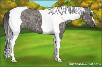 Horse Color:Smoky Grullo Ice Tobiano 