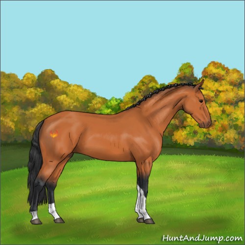 Horse Color:Bay Tobiano 