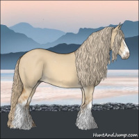 Horse Color:Red Dun Sabino 