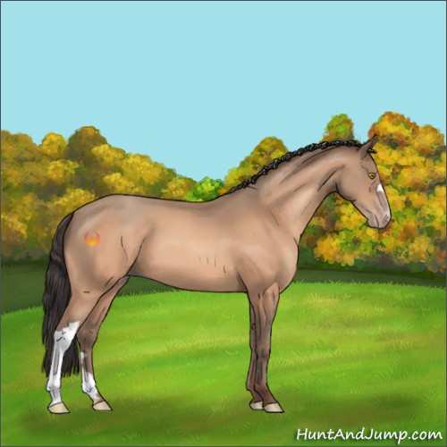 Horse Color:Amber Champagne 