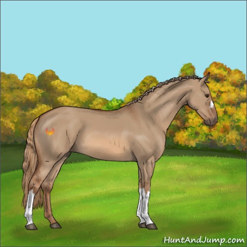 Horse Color:Red Dun