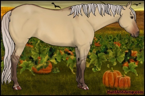 Horse Color:Silver Bay Dun 