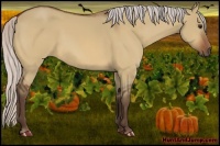 Horse Color:Silver Bay Dun 