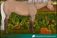 Horse Color:Silver Brown Dun