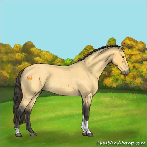 Horse Color:Buckskin Roan Tobiano