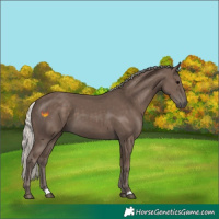 Horse Color:Silver Black 
