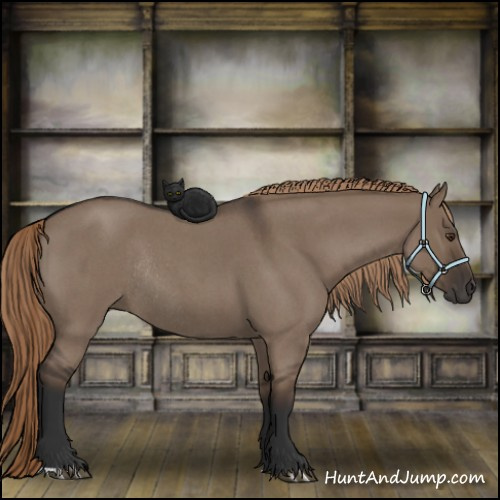 Horse Color:Liver Red Dun Roan Rabicano 