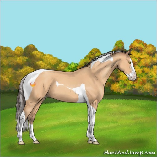 Horse Color:Amber Champagne Splash Tobiano 