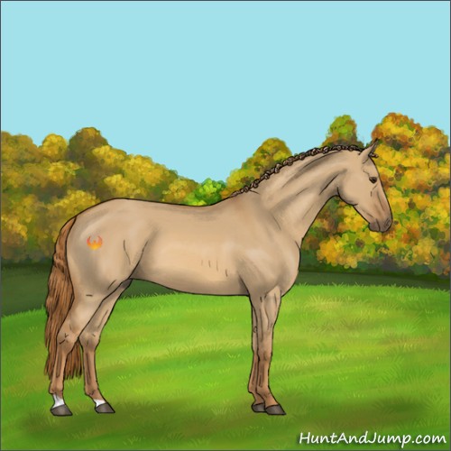 Horse Color:Red Dun 